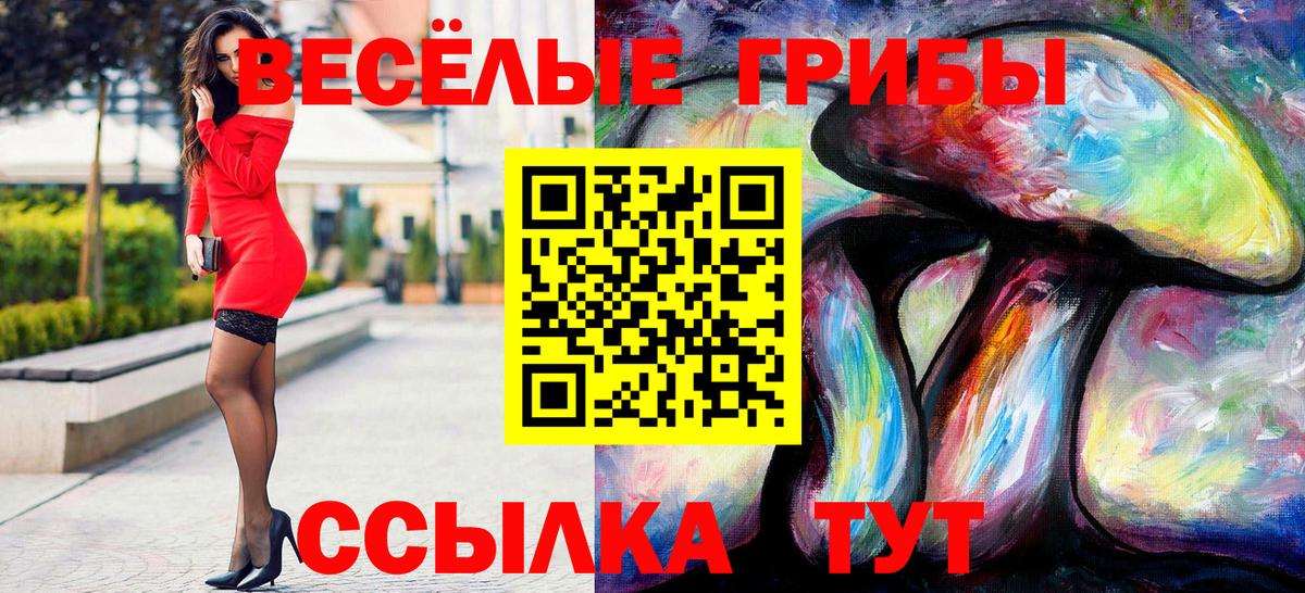Железногорск  Галлюциногенные грибы Psilocybine cubensis  Галлюциногенные грибы мицелий  Вход с VPN 